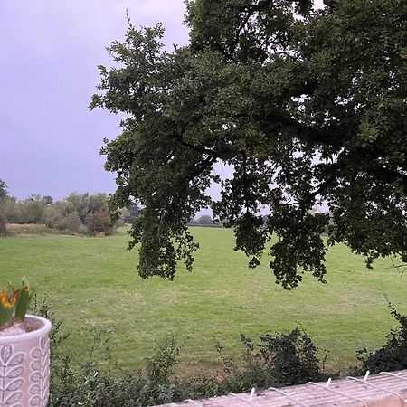 Severnside Boat And Caravan Park Gloucestershire - Caravan 1 Deerhurst Екстериор снимка